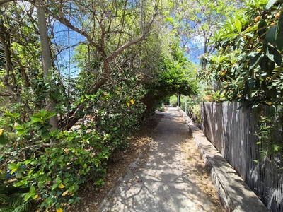 למכירה בקיבוץ משמרות