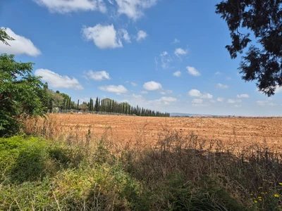 למכירה בקיבוץ משמרות